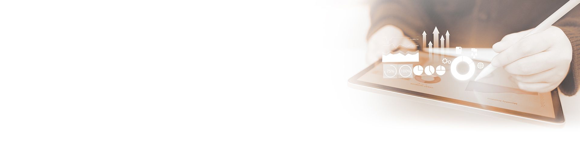 Webentwicklung und Optimierung
